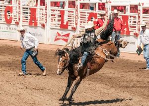 visit calgary alberta